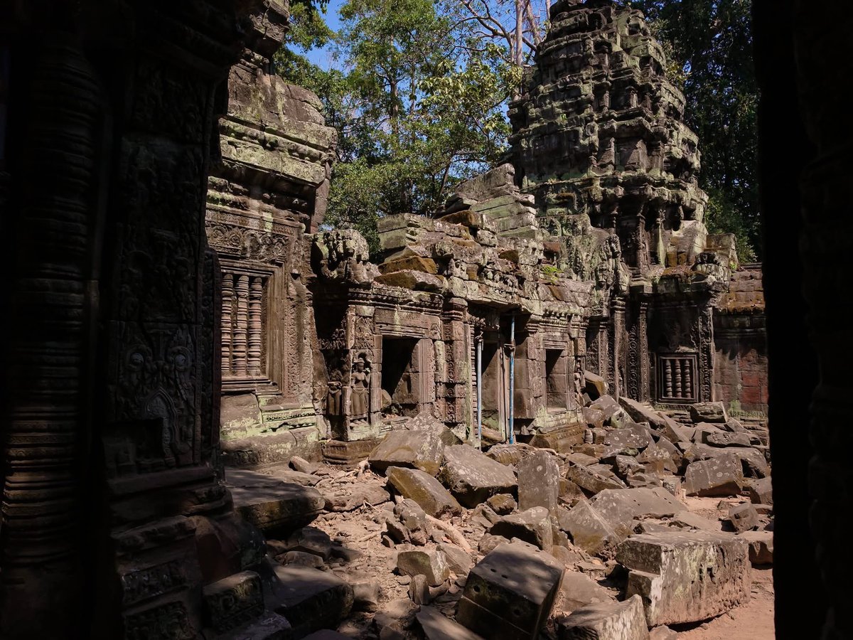CambodiaREC's tweet image. Ta Prohm Temple
photos #SPPC