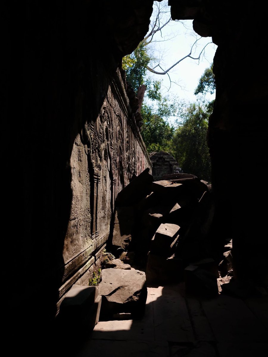 CambodiaREC's tweet image. Ta Prohm Temple
photos #SPPC