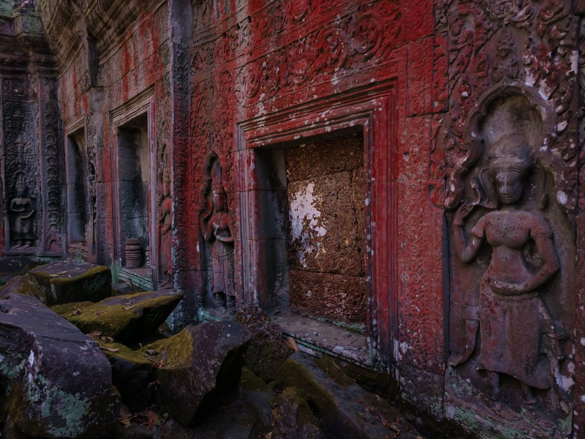 CambodiaREC's tweet image. Ta Prohm Temple
photos #SPPC