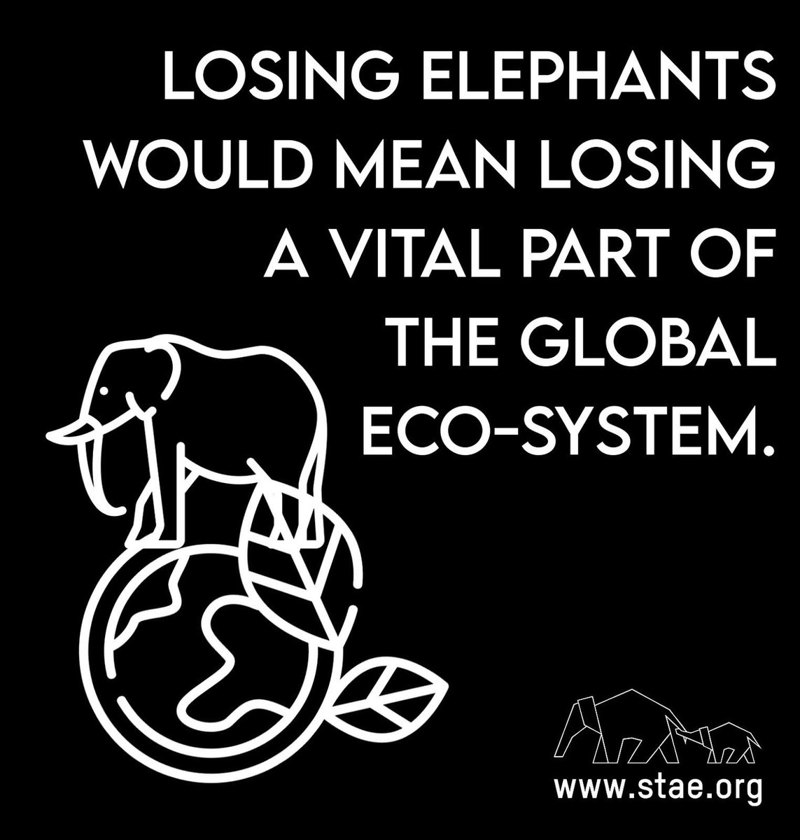 stae_elephants's tweet image. Losing elephants would mean losing a vital part of the global ecosystem.  #fridayfacts