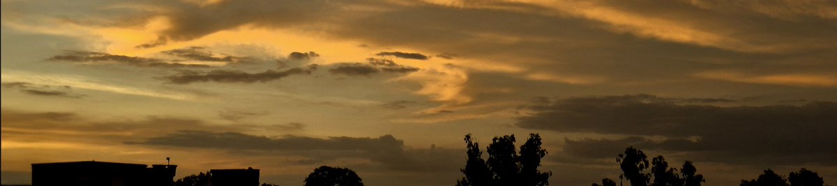 perhaps the color of love is yellow