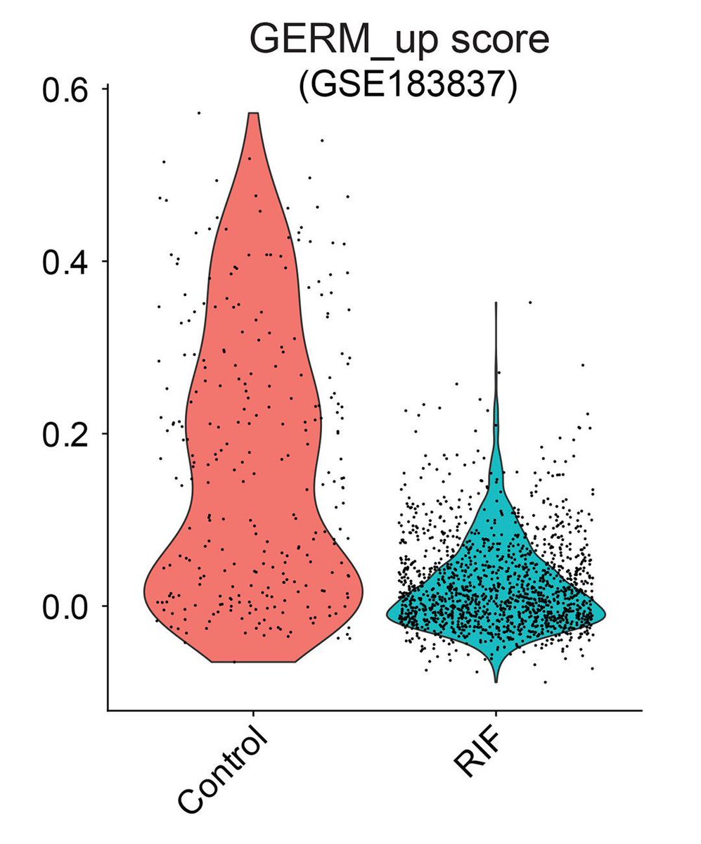 JCI_insight's tweet image. In 1950, the Noyes criteria was established for determining the optimal window of #implantation.

Nataki C. Douglas &amp;amp; team @RutgersU now identify a unique epithelial receptivity signature and stromal changes that support embryo implantation and highlight fertility-related