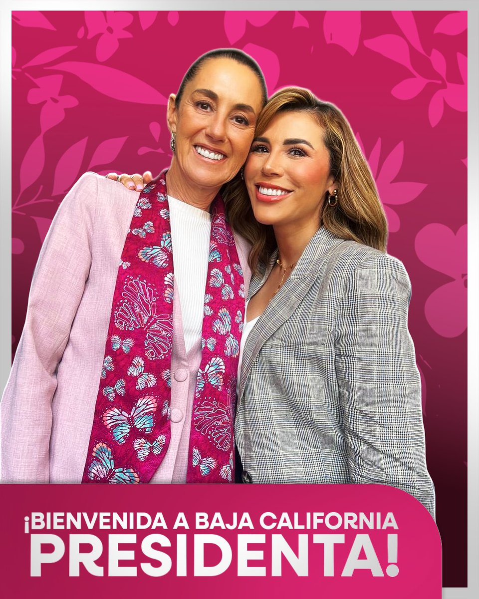 Marina del Pilar tweet media