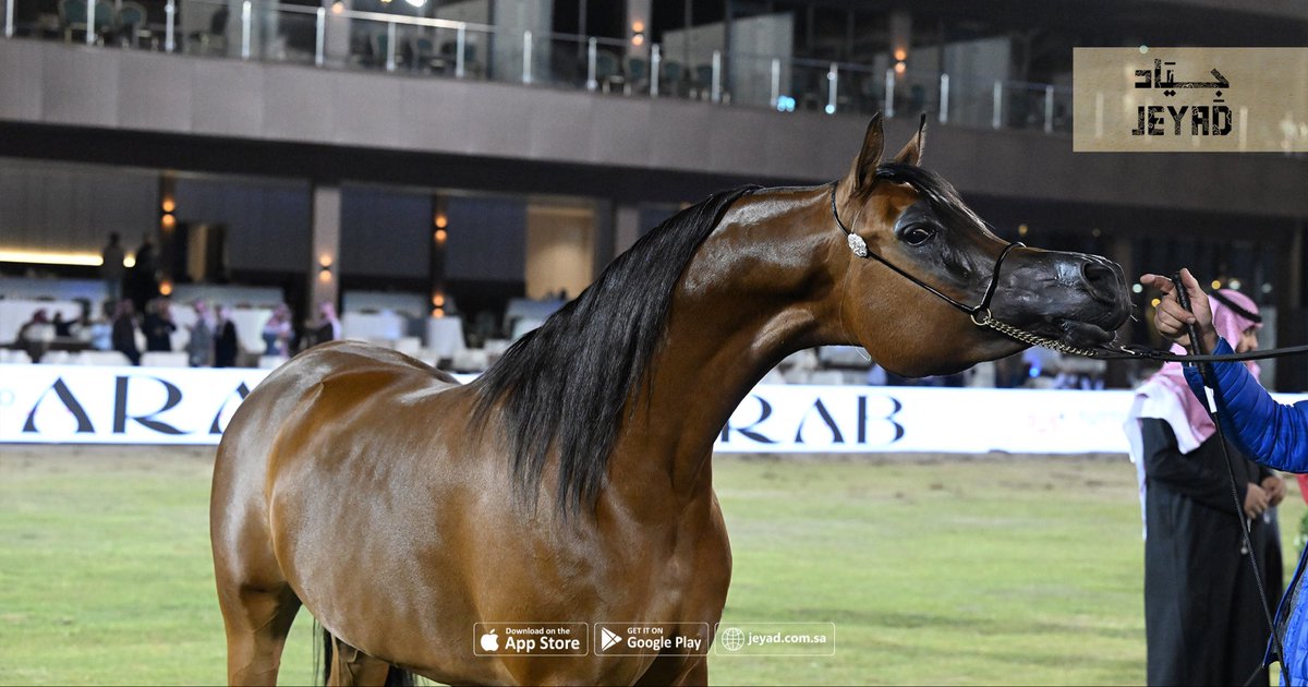 JeyadApp tweet media