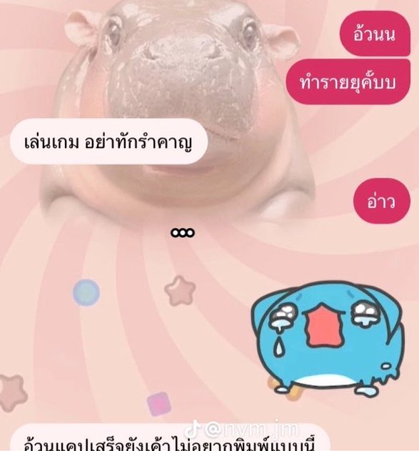 瑤 tweet media