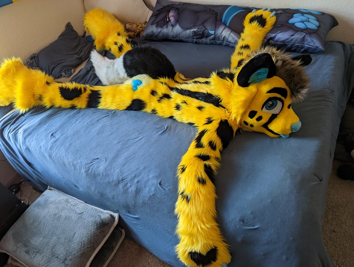 🩵FaoTheChee💛 tweet media