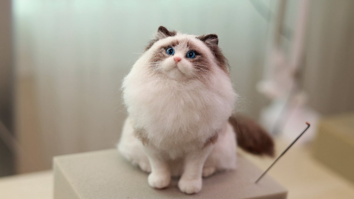 히소의 니들펠트_Hisofelt tweet media