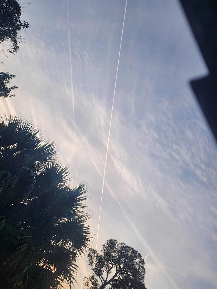 MsGypsyV's tweet photo. We are being sprayed constantly in North Central Florida again! How are they doing this if it is illegal in the state of Florida? The skies are so bad this morning I'm afraid to go outside. 
#CrimesAgainstHumanity

@GovRonDeSantis @rfkJrHealth24 @RFKJr_Official @FLSurgeonGen https://t.co/PcwpSrMqbl