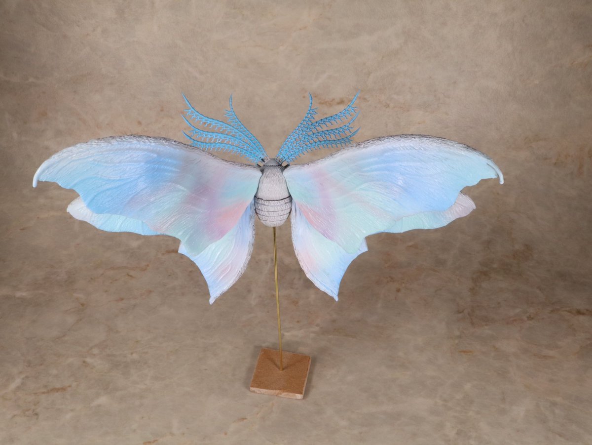 芽児 (@gazi_55114) on Twitter photo 