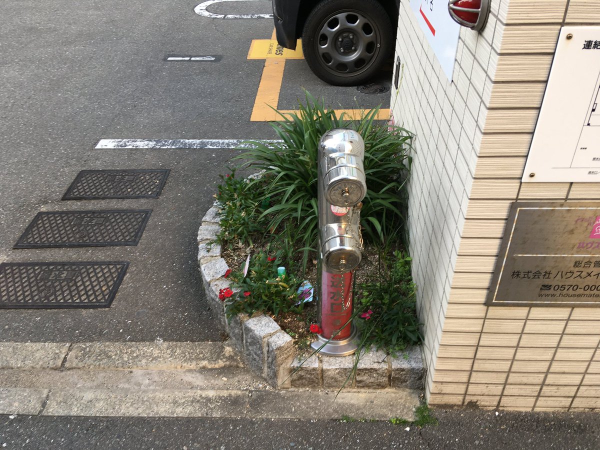 Fukuoka♡