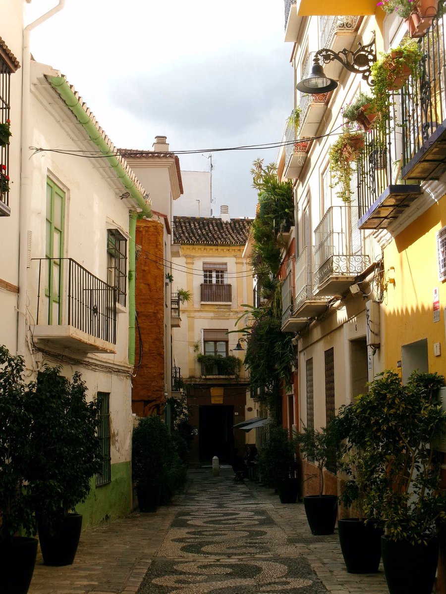 AlbertoLpez24's tweet image. Calle Cabello, un respiro entre el bullicio.