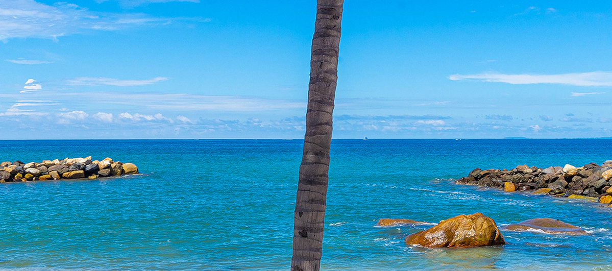 Tacos with a fresh twist and a cozy vibe in the heart of Puerto Vallarta. Don Chava Taqueria Cantina is where tradition meets modern flavor. 🌮

.
.
🔗 pinnacleresortspv.com/blog/don-chava…
.
#puertovallarta #luxuryresorts #pinnacleresorts