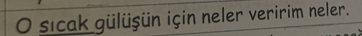Sadece yeğenime ders çalıştırıyordum
