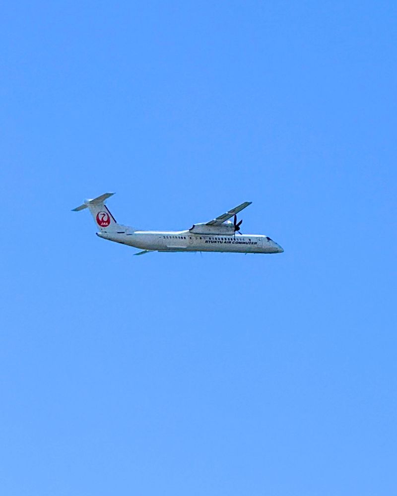 2月1日は「琉球王国建国記念の日」
1425年2月1日に琉球王国が対外的に認められたという書簡があることから、この日に制定されました。

琉球という国が認められたのは1425年ですが、実際に統一されたのは1429年のこと👀
そこから450年にもわたる琉球王国の時代がありました😌