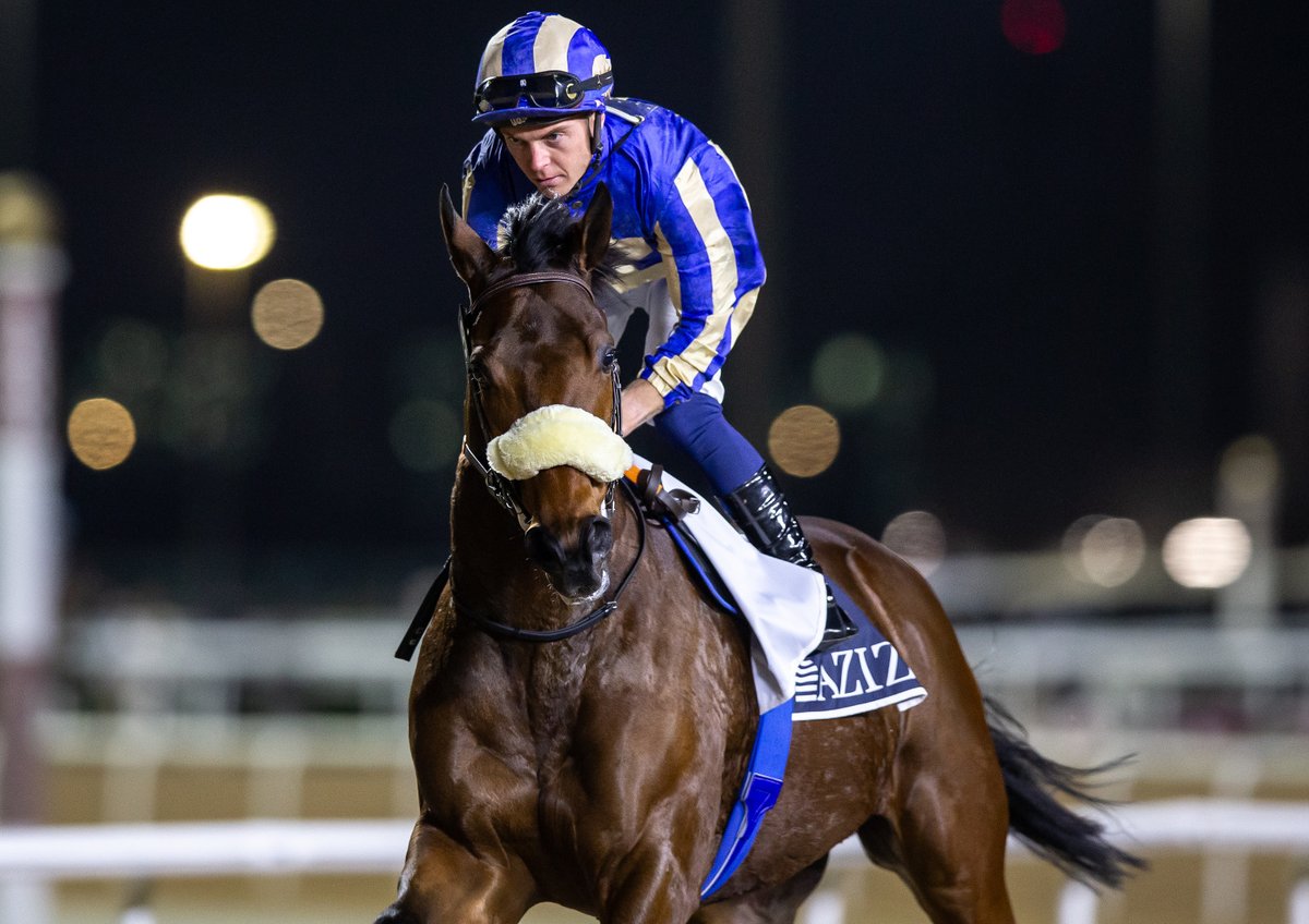 All For One Racing Syndicates tweet media