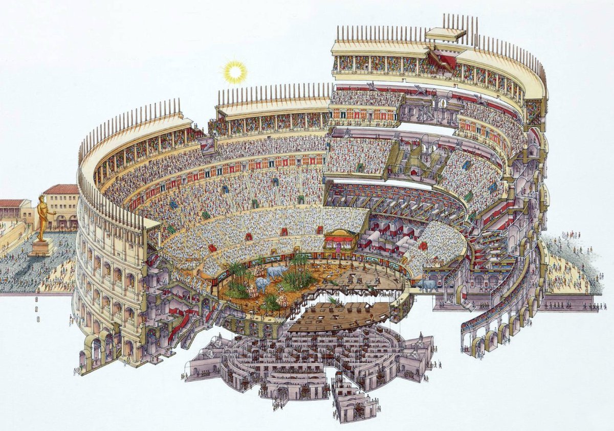 mcgillmd921's tweet image. Cross-section of the Colosseum 🏛️