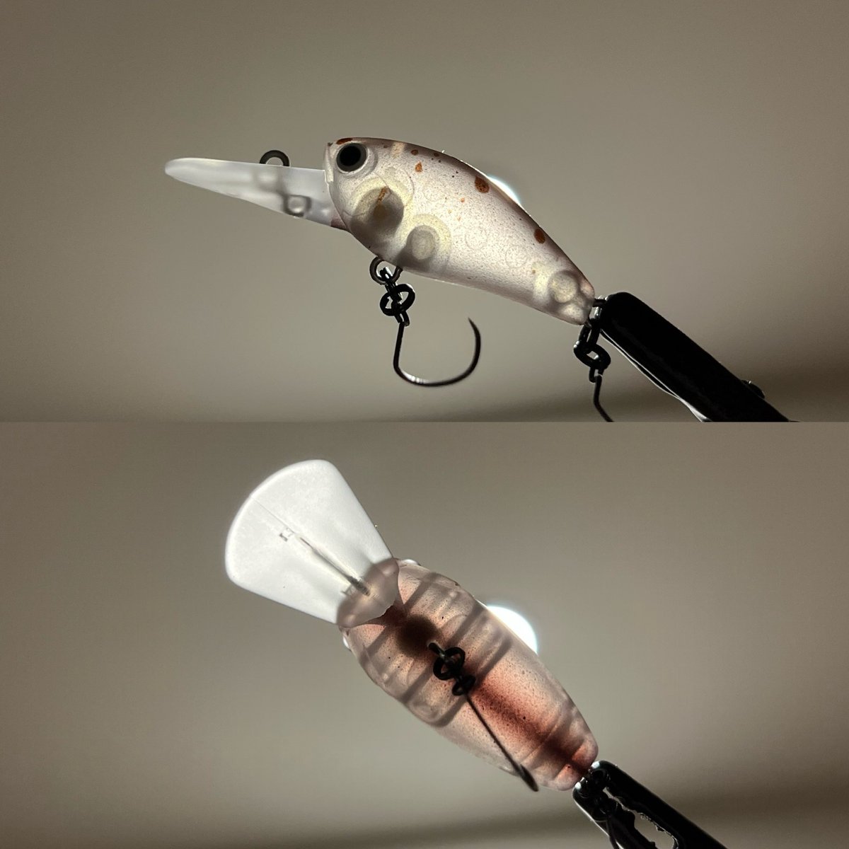 ティムコ トラウトフィッシング (@tiemco_trout) / Posts / X