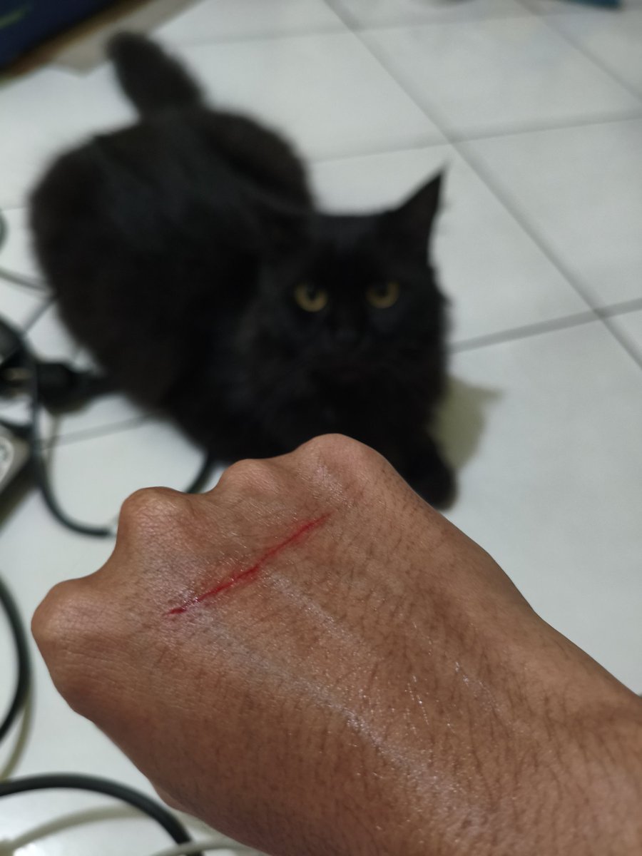 SleepyFzz's tweet photo. Love hurts. #Miaw #KucingAnjing https://t.co/hes4dC0LOk