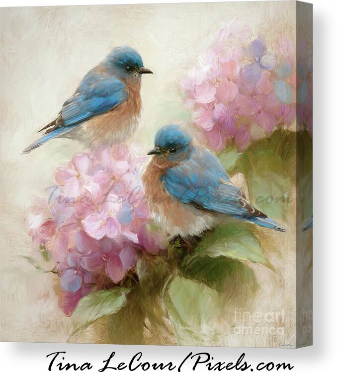 Bluebirds In Bloom...Available here...tina-lecour.pixels.com/featured/blueb…

#BirdsSeenIn2026 #bird #birds #BirdsUp #BLUEBIRDS #Flowers #FlowersOnFriday #FlowerHour #FlowersOnX #Floral #SpringFever #wallart #artforsale #arte #art #homedecor #Pink #interiordecor #interiordesign #gifts