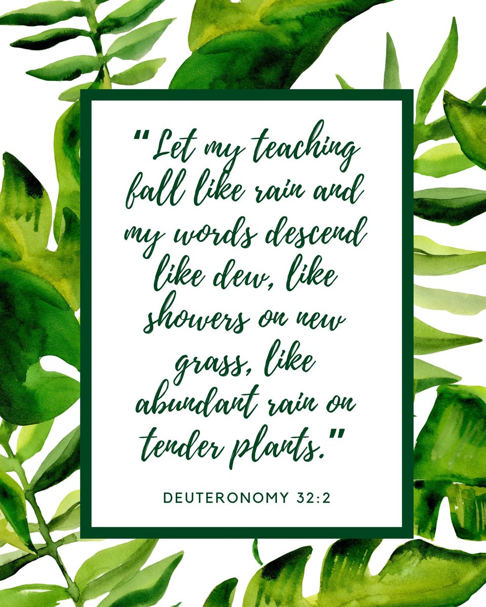 “Let my teaching fall like rain and my words descend like dew, like showers on new grass, like abundant rain on tender plants.” — Deuteronomy 32:2
•
Good morning from the OATH desk, yall! I listened to a sermon while I was driving home recently, and the message was about