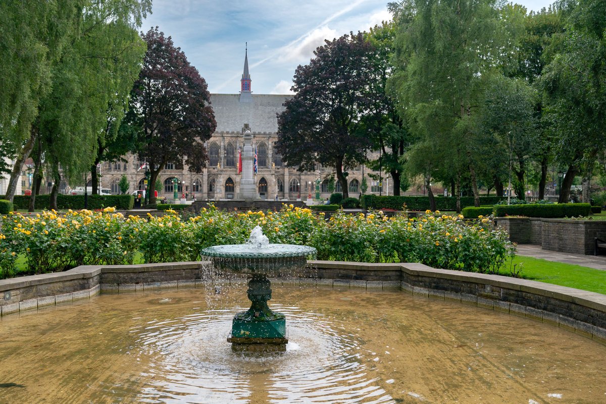 Robert Downes tweet media