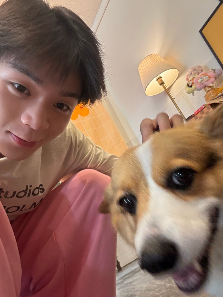 diarydec's tweet image. ੯·̀͡⬮ 🦴⋆˙⟡