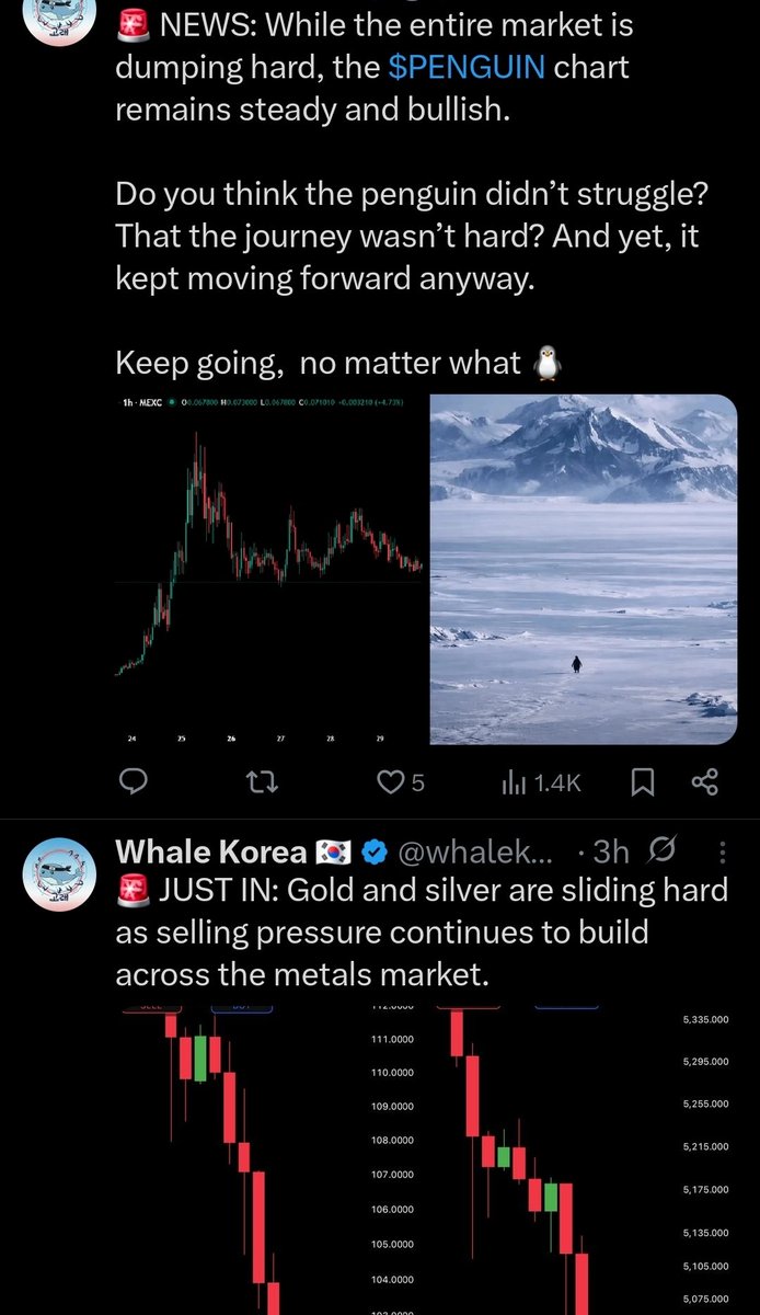 Cypher⁷ / Shesawseesaw tweet media