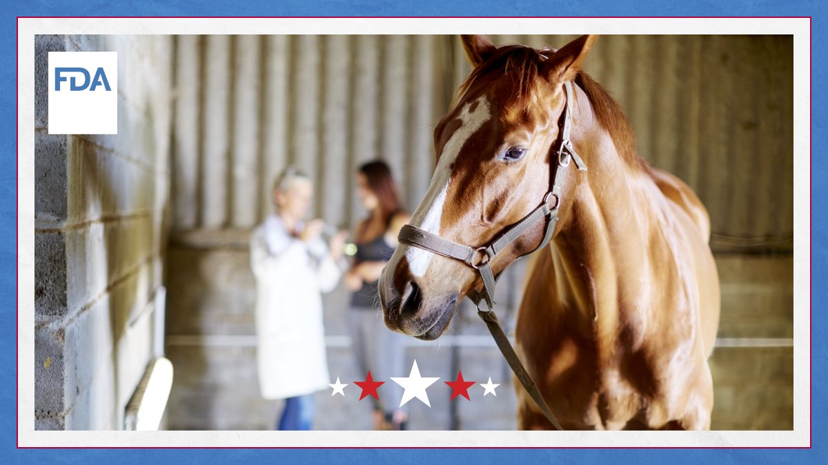 📣VETERINARY PROFESSIONALS: If an animal in your care experiences an adverse event from an animal drug or device, please notify FDA promptly – whether the product is approved, unapproved, used off-label, or compounded.