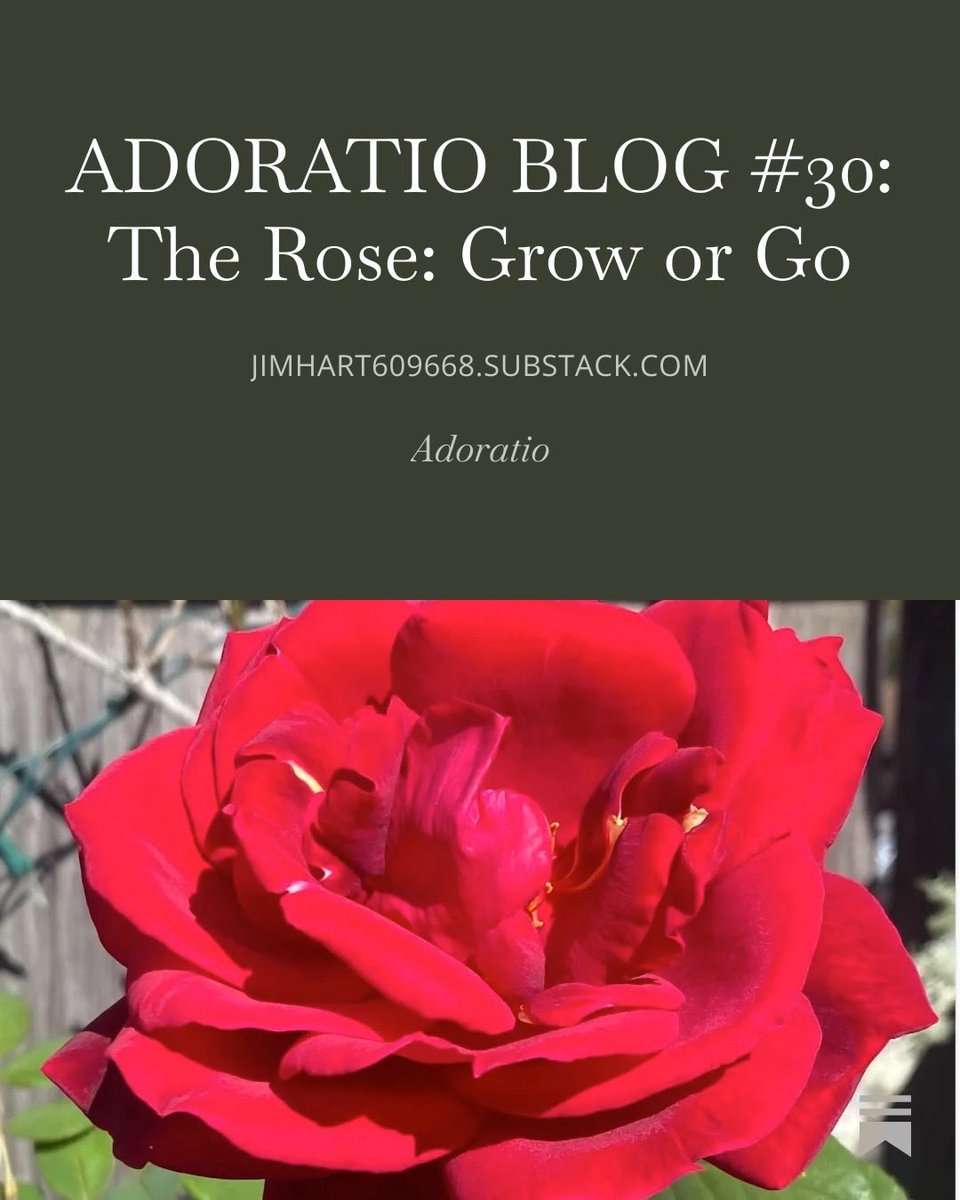 jimhart609668.substack.com/p/adoratio-blo…