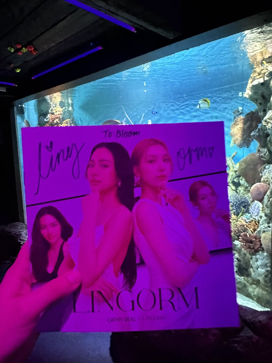 Bloom W. tweet media