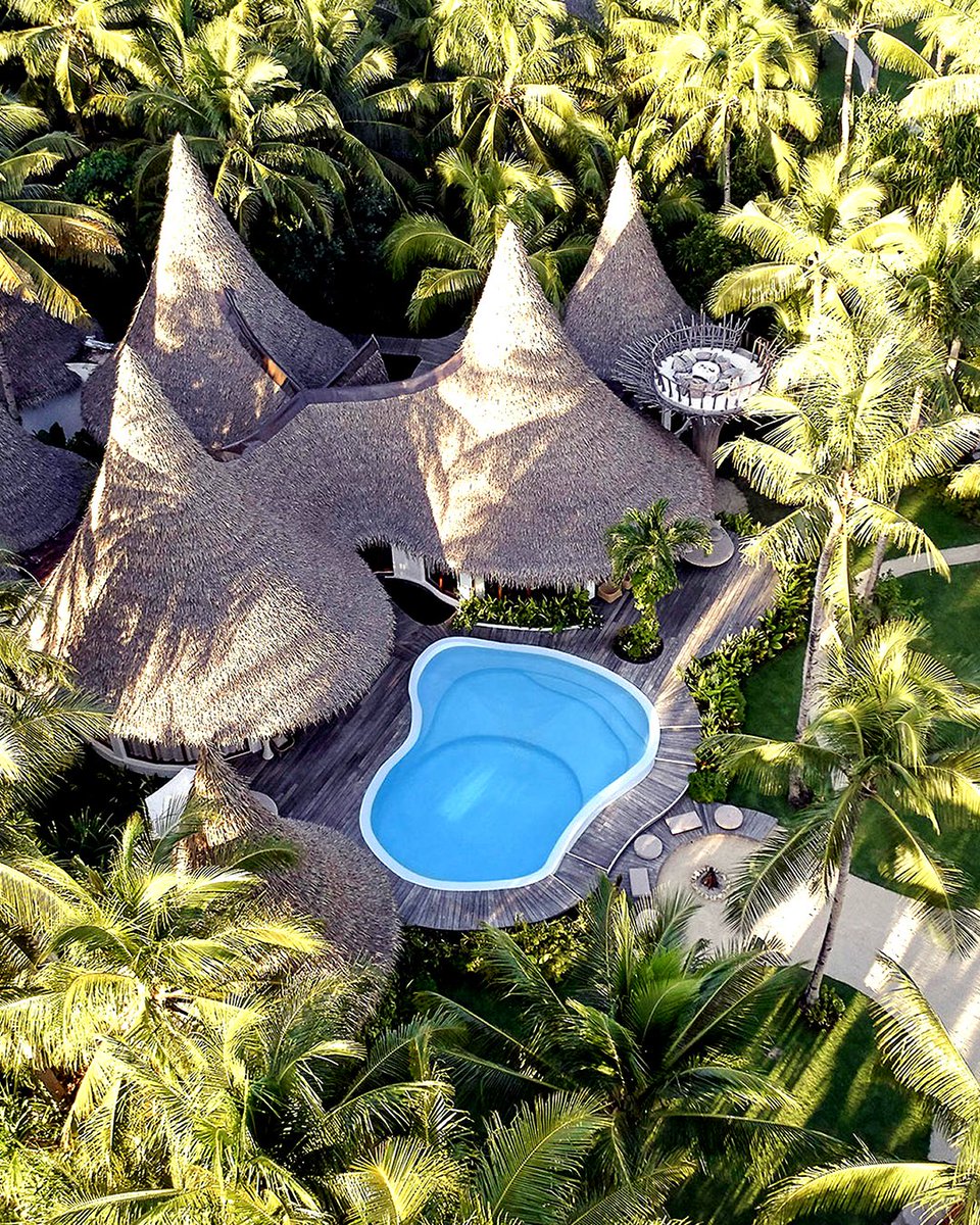 🌅 𝗦𝗘𝗝𝗢𝗨𝗥 𝗗𝗔𝗡𝗦 𝗨𝗡 𝗣𝗔𝗥𝗔𝗗𝗜𝗦 𝗗𝗘𝗦 #𝗣𝗛𝗜𝗟𝗜𝗣𝗣𝗜𝗡𝗘𝗦 > Quelques toits de palmes blondes émergeant de la canopée annoncent un refuge pour Robinsons exigeants, l’un des plus aboutis du genre : le Nay Palad Hideaway.  > exclusifvoyages.com/adresse/nay-pa… #luxe