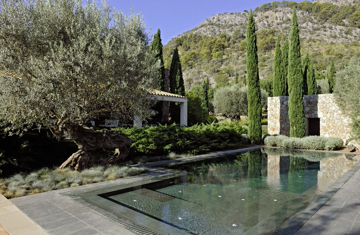 nanarquitectura's tweet image. Un #jardín que parece brotar de la Serra de Tramuntana 🌿 

Diseño, #vegetación y #materiales se funden en un paisaje que respira territorio.

Así es la propuesta de Jardins Tramuntana: #integración, sobriedad y experiencia sensorial.

eu1.hubs.ly/H0rmYq50