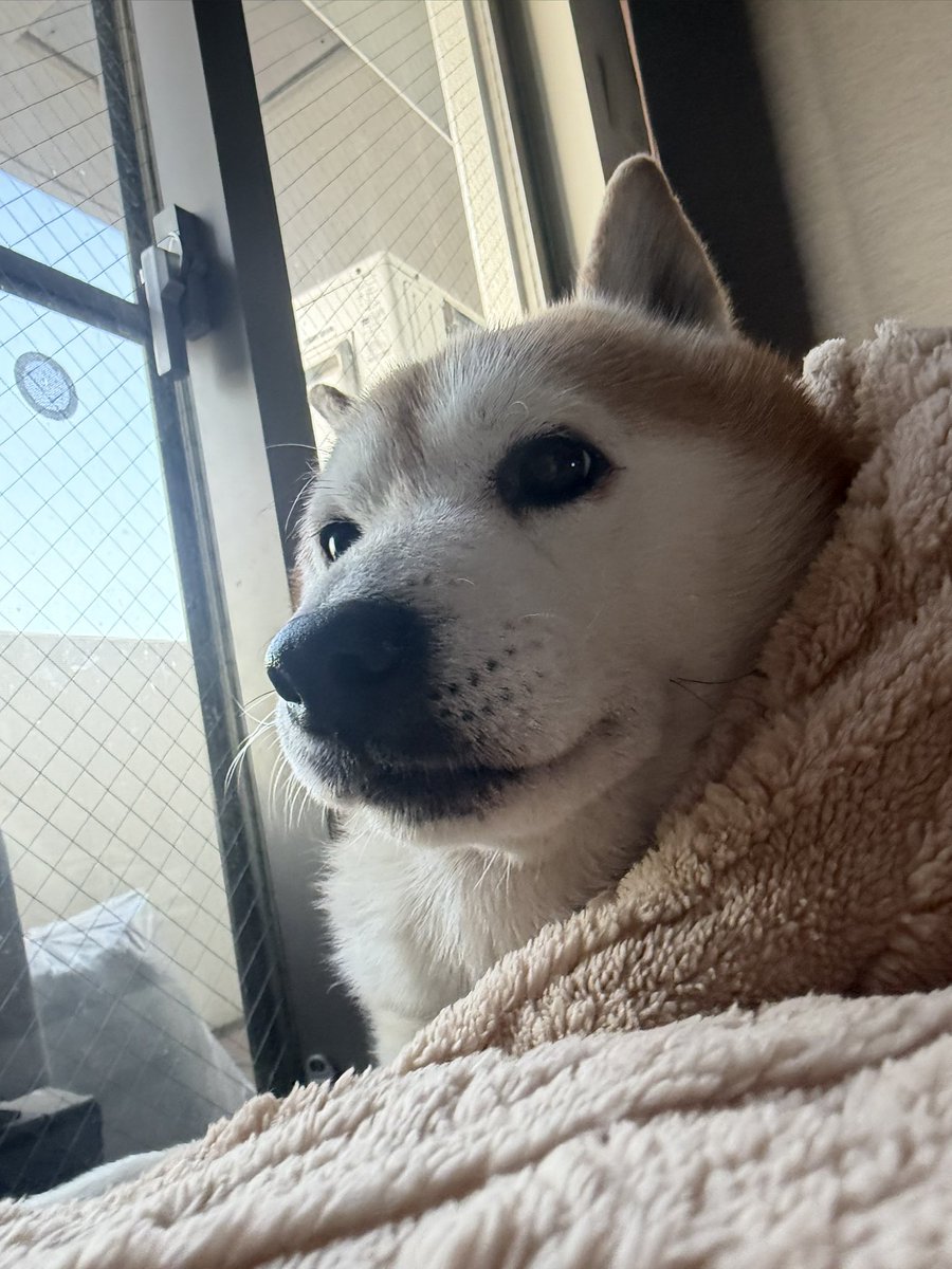 o_momo0201's tweet photo. 愛おしい☀️💕 https://t.co/96U4sQEe1V
