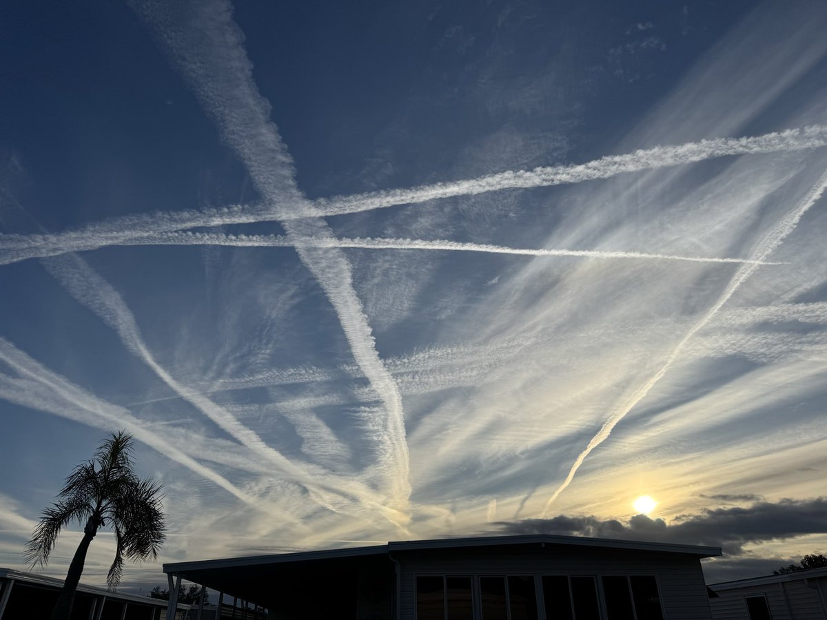 #suckit@jack tweet media