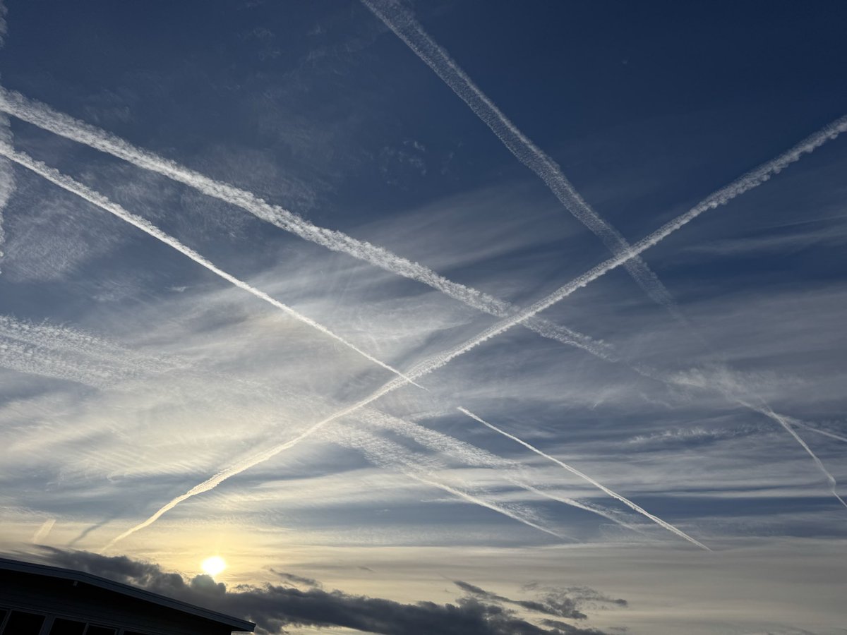 #suckit@jack tweet media