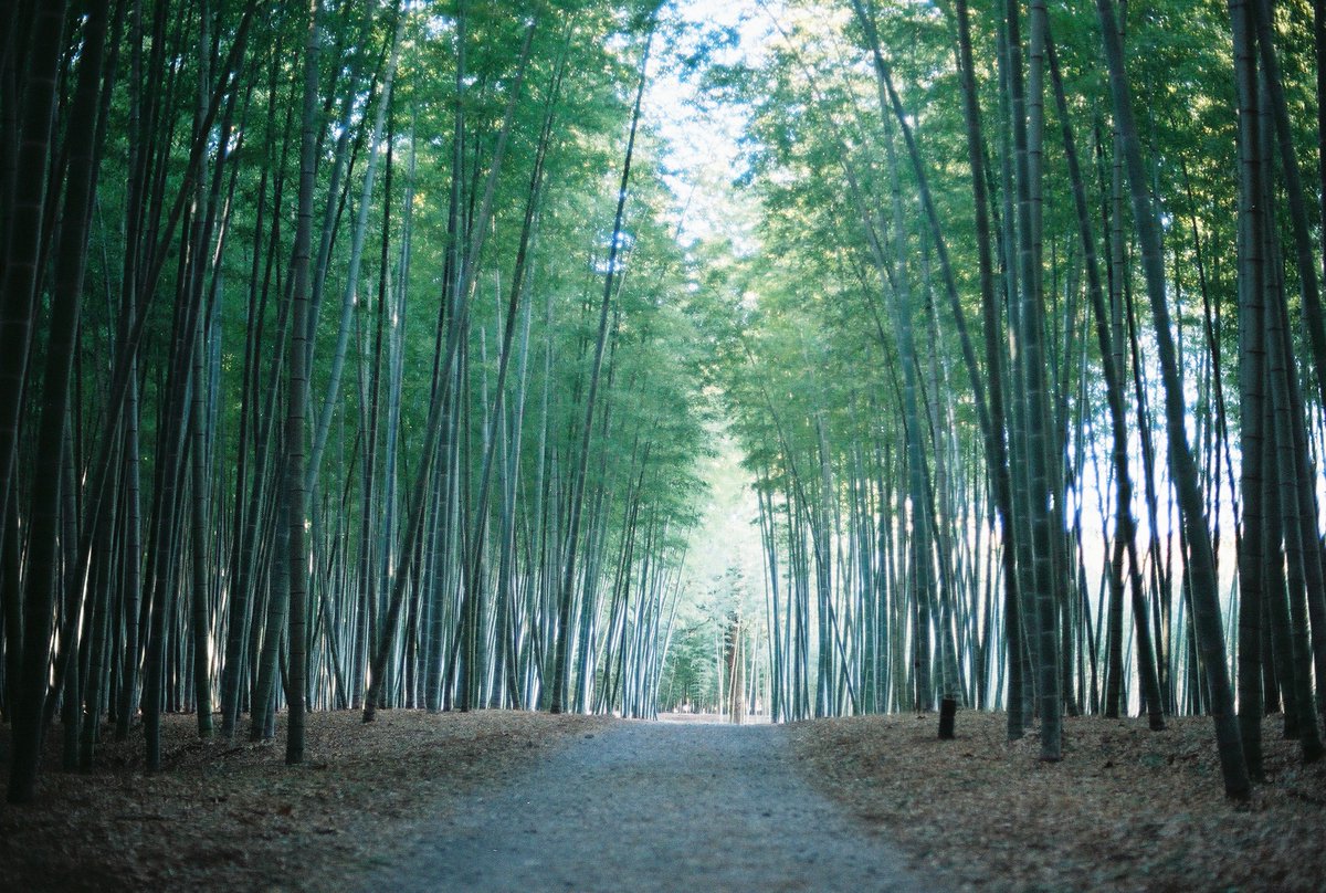懐かしい写真が出てきた