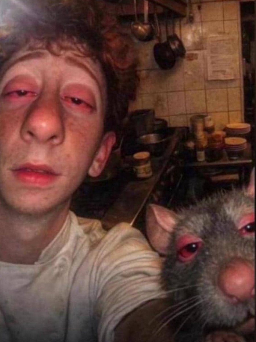 Stoner Barbie (@stonersvilla) on Twitter photo 