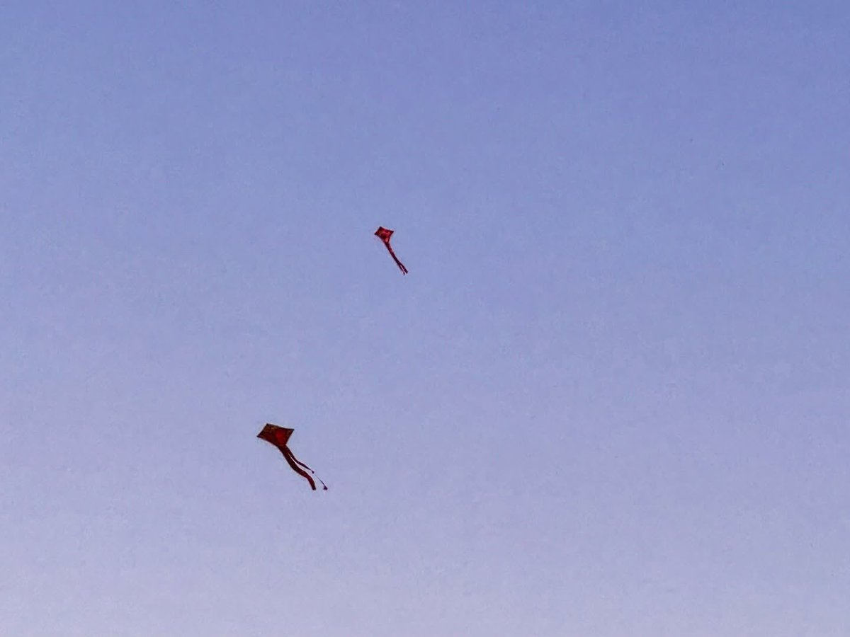 パクシヨン tweet media