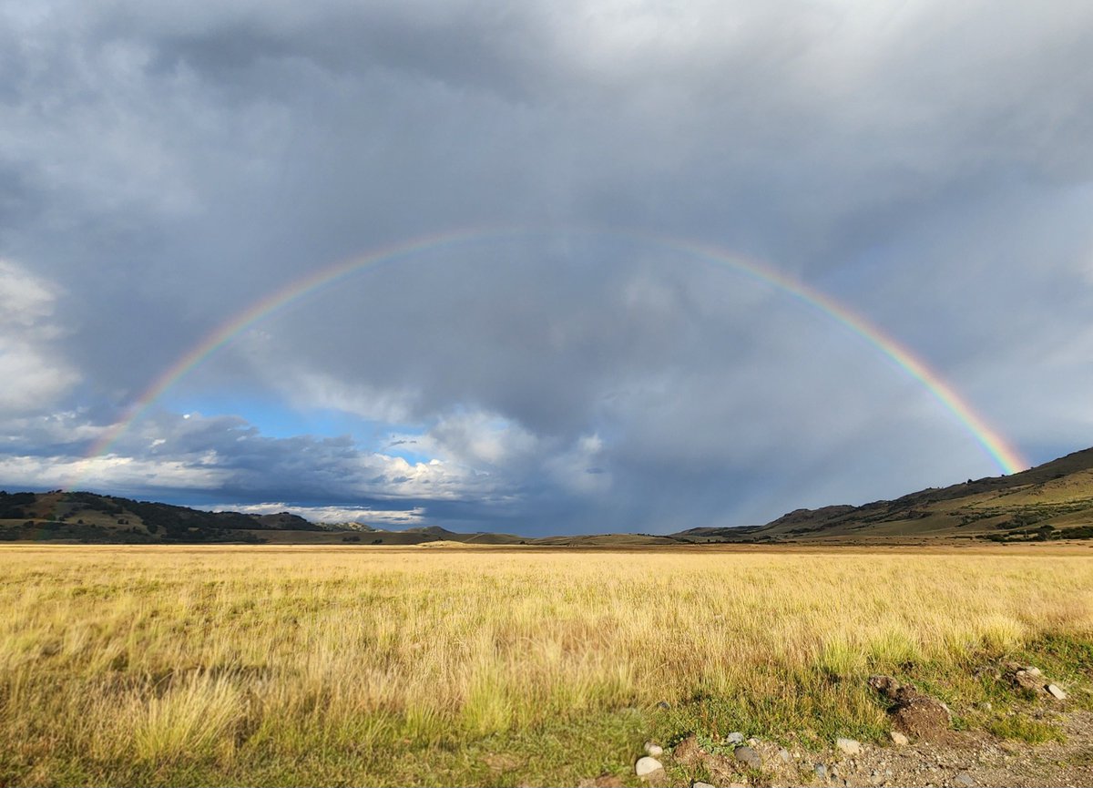 IntaSur's tweet image. Edición semestral del Radar Ganadero de la Patagonia 
Mapas regionales, tendencias y una mirada integral para anticipar escenarios en la ganadería patagónica.

Una herramienta del #INTA al servicio de la producción 👉bit.ly/4a4m5GS

@intaargentina @IntaPatnor