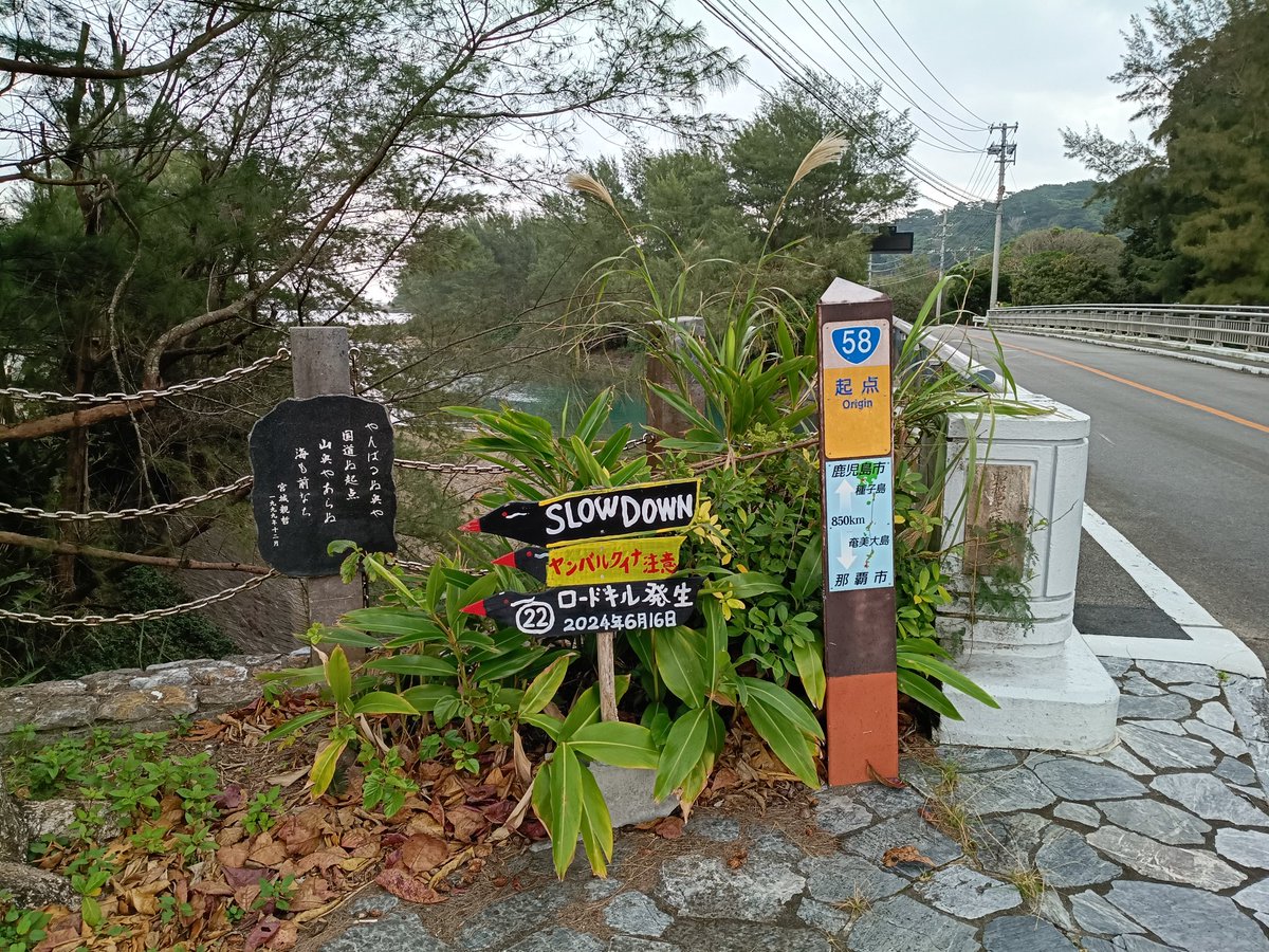 Nebuoo's tweet photo. #奥共同売店 #沖縄県 #国頭村 #国道58号
北部はお店が少ないからか、こうした共同売店をいくつか見られた。沖縄県は南北の人口比率が極端。ここによったのはR58の沖縄側起点証明書を売っているから。起点の写真も。この先は県道70号。

共同売店も集落も活性化していくことを願っています。 https://t.co/oUR918aEXX