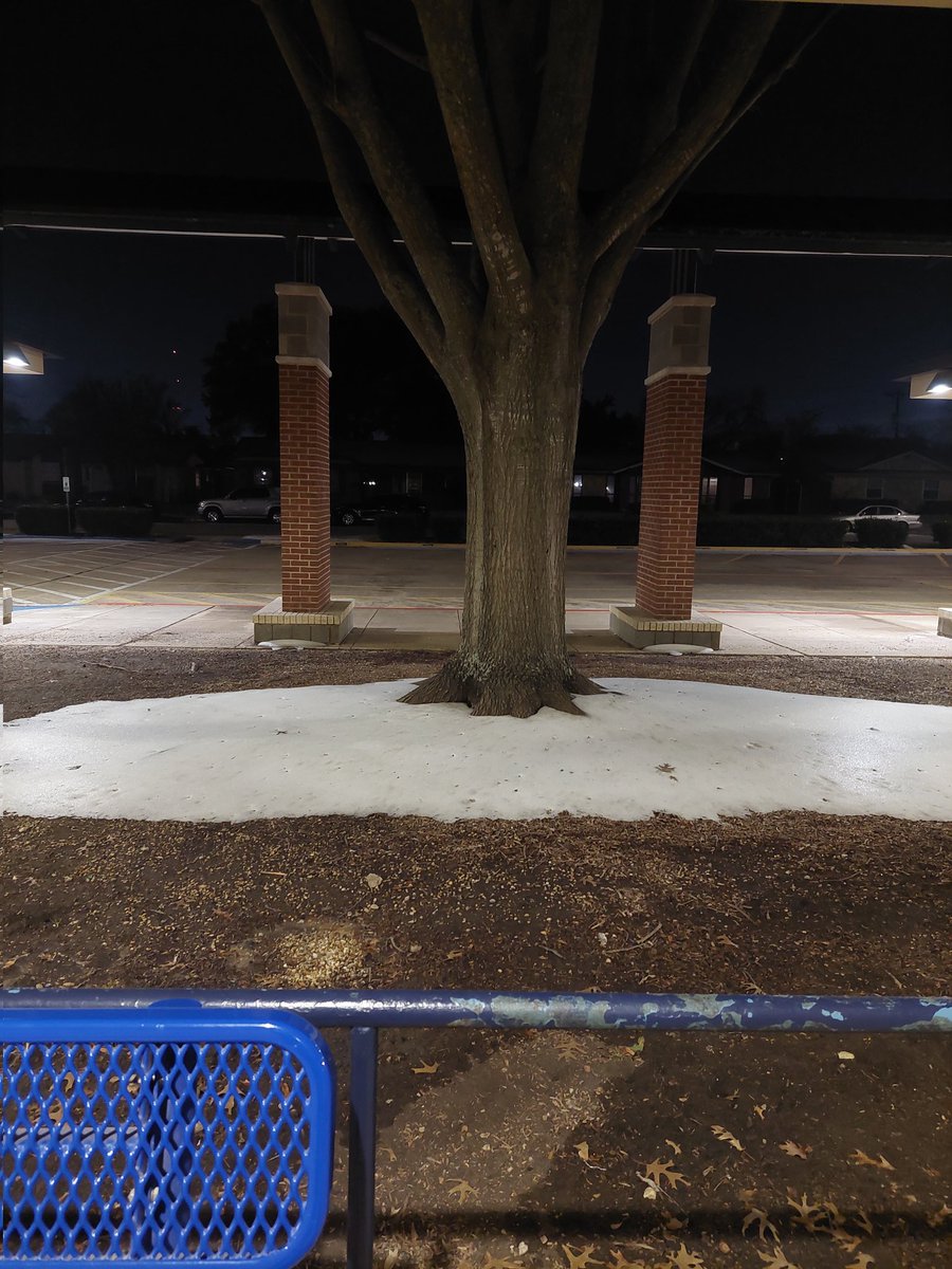 Victoria Bradley tweet media