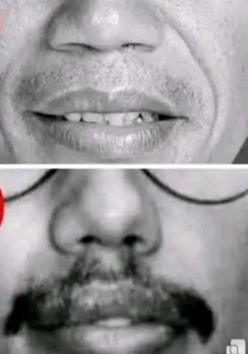 celeeio1132 tweet media