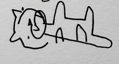 Liam Edwards tweet media