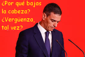 Pinocho el Embustero no acudió ayer al funeral por las víctimas del accidente de tren, en Huelva. No tuvo cojones de ir a dar la cara ni a mirar a los ojos a los familiares de las víctimas. Jamás ha tenído cojones, ni valor, ni dignidad, ni palabra. Es un cobarde y así actuó. 🤮