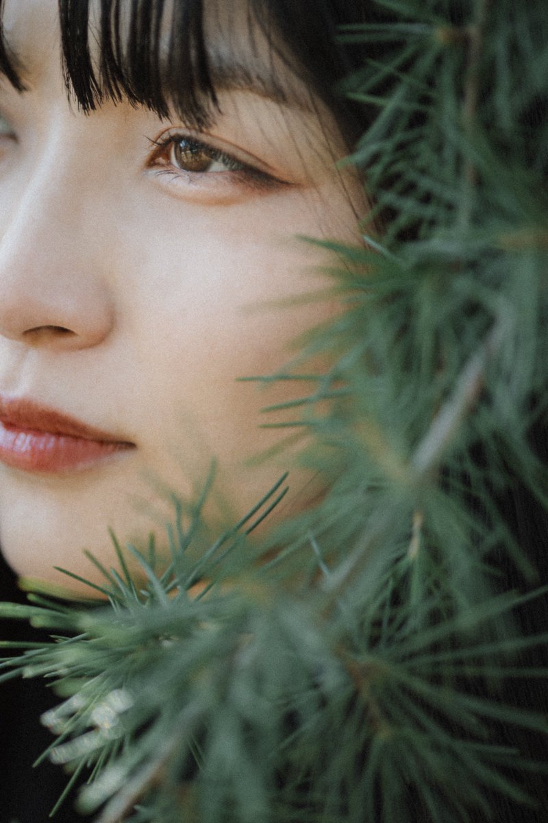 マネークリッパー吉沢 tweet media