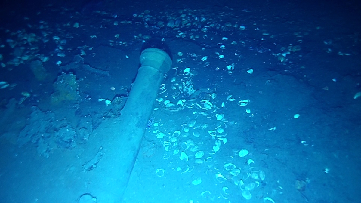 Ocean Robotics Planet (formerly ROV Planet) tweet media