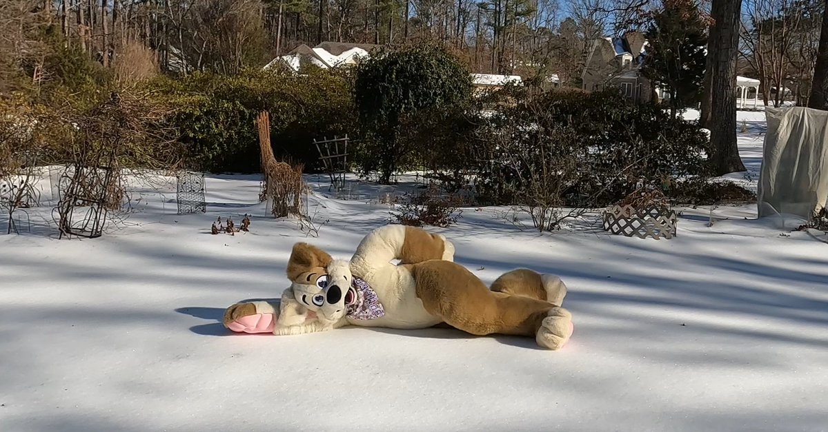 Everybody saying it be cold outside. Not sure what they be talkin about. Feeling wonderfully toasty this icy #FursuitFriday