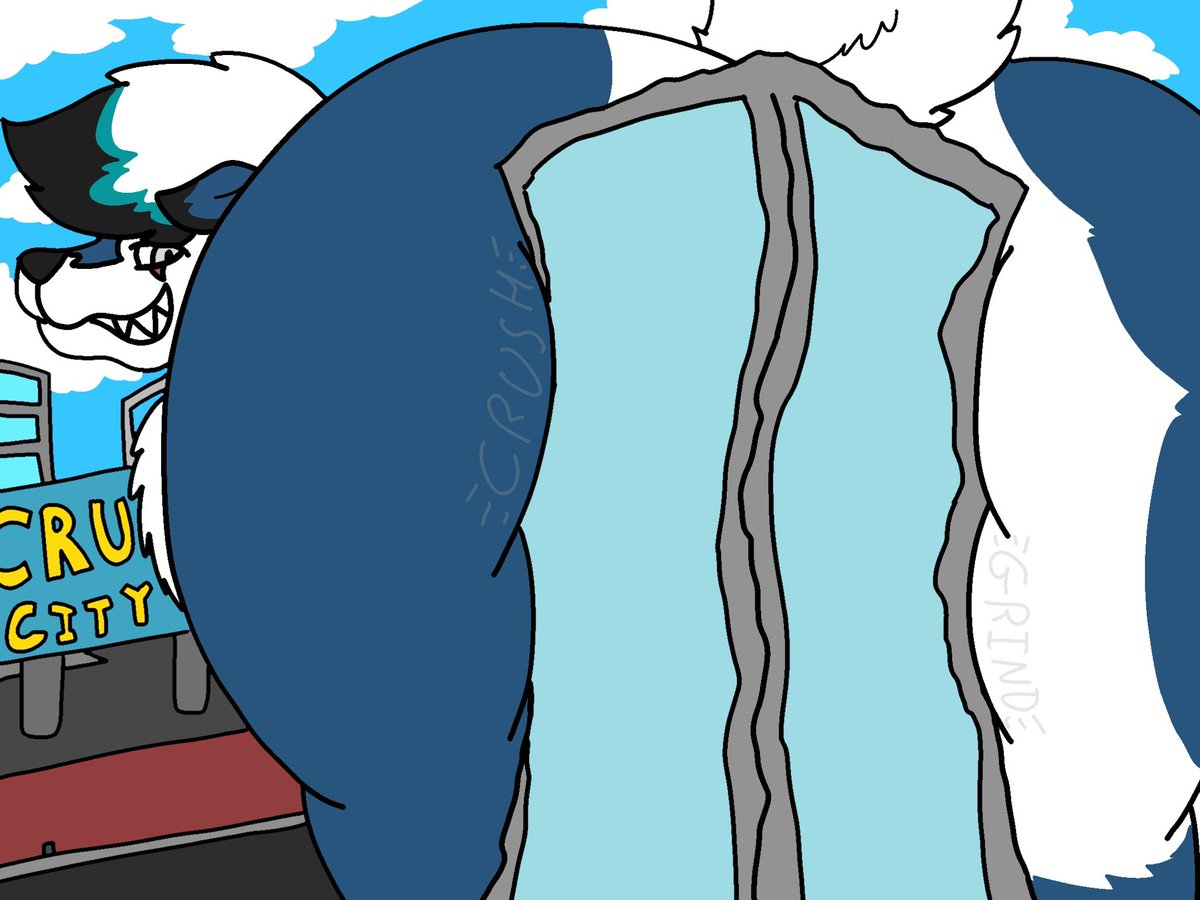 Silvallier Schafer tweet media