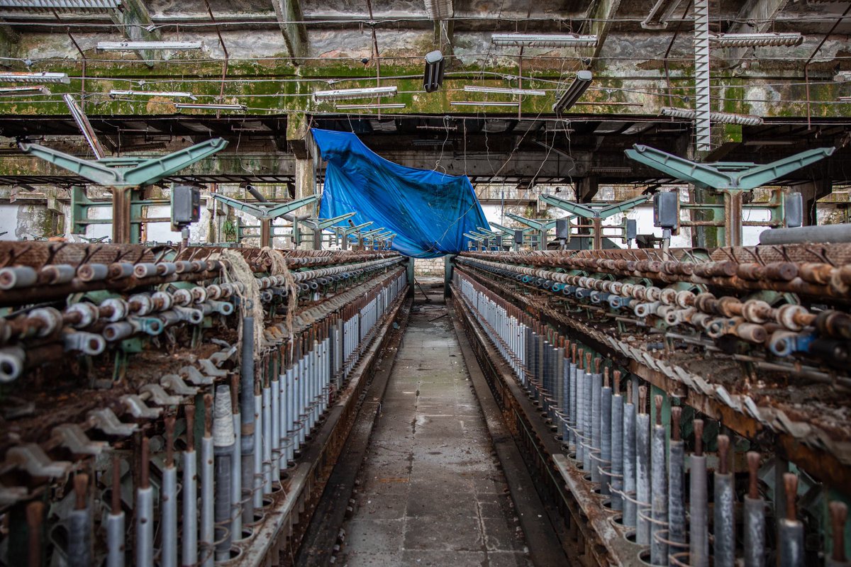 Амбассадор счастья tweet media