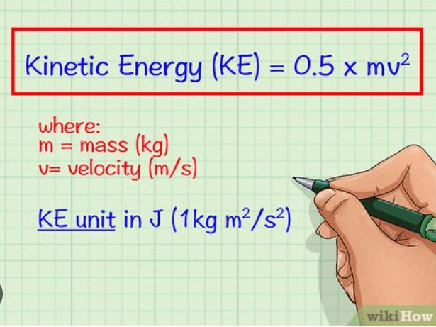 David Monti 🥑 tweet media